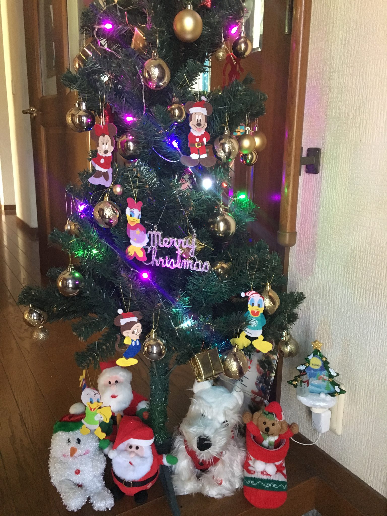 クリスマスの飾り付けをしました 館林市日向町のピアノ教室 カーザ デッラ ムジカ