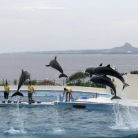 神戸市灘区、西宮市甲東園のピアノ教室 | ピアノ教室 Farbe | 阪急六甲駅、甲東園駅