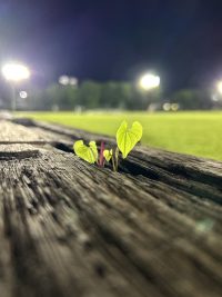 nourishピアノ教室|伊勢崎市国定町のピアノ教室