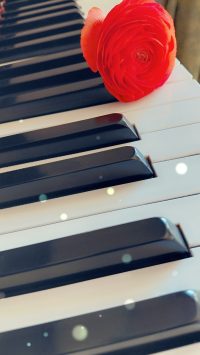 nourishピアノ教室|伊勢崎市国定町のピアノ教室